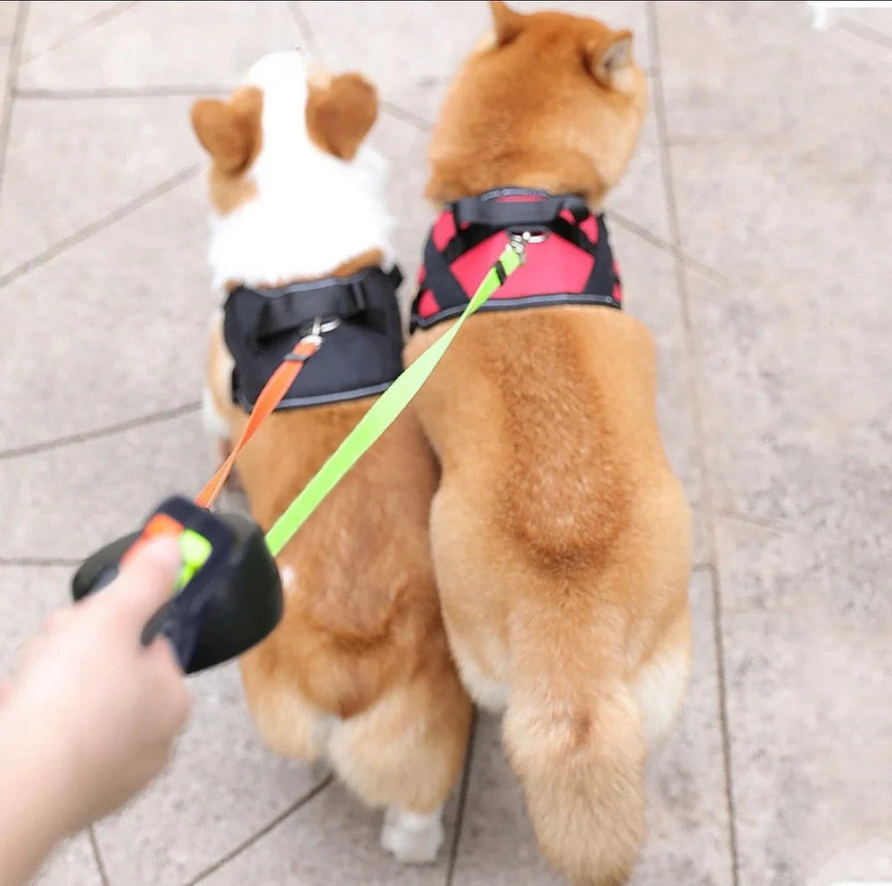 Duo Leash Up to 30 Lbs Per Dog