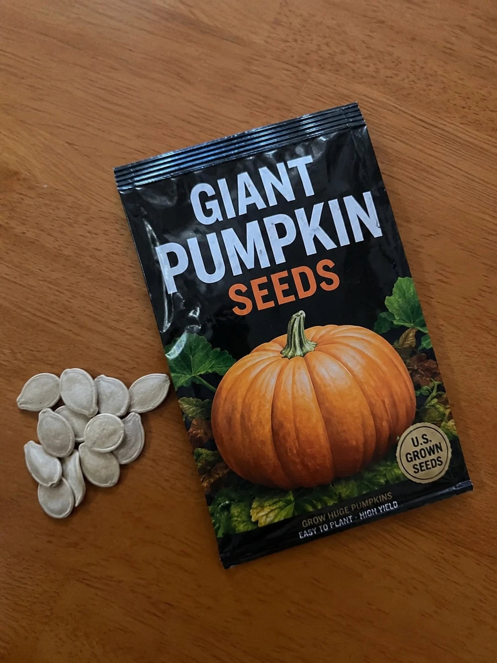 Atlantic Giant Pumpkin Seeds