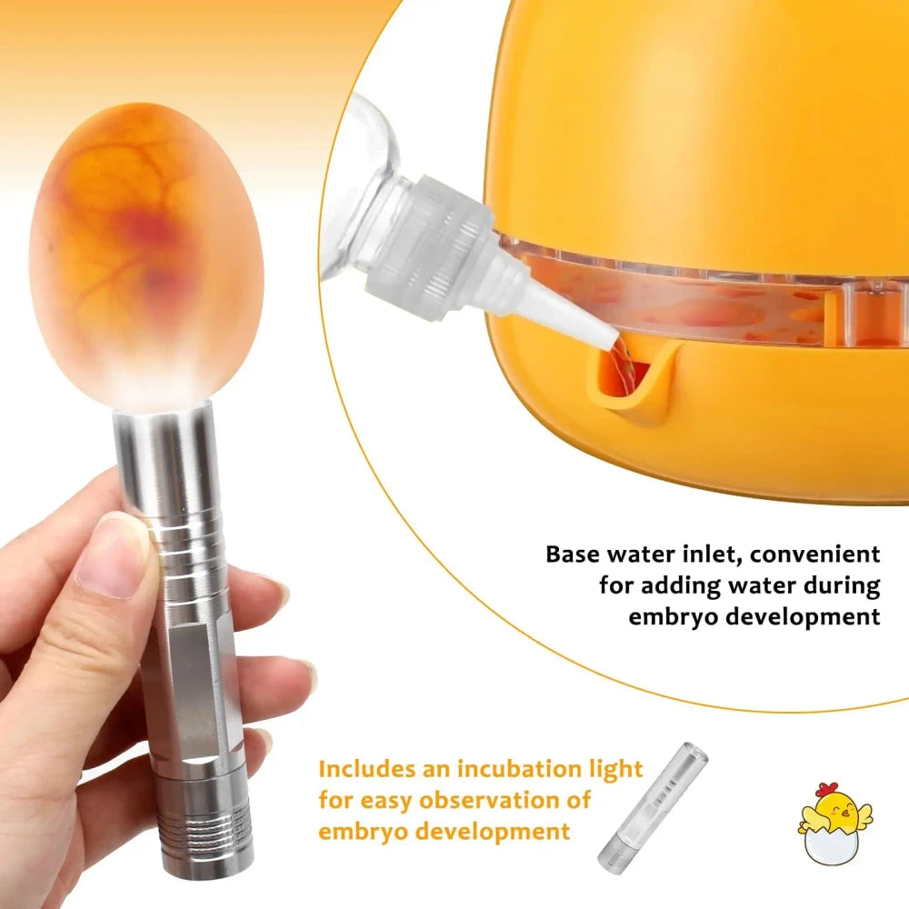 Premium Egg Incubator